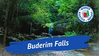 🍃 Buderim Falls  Walk to Buderim Falls  Serenity Falls in Buderim Forest Park Queensland [upl. by Ennoira853]