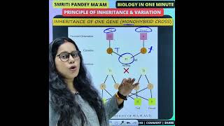 6 Monohybrid Cross  Principle of Inheritance neet neetpreparation neetbiology neetpyq biology [upl. by Waers]