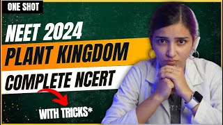 NEET 2024 Plant Kingdom One Shot  Class11 Biology [upl. by Aisorbma]