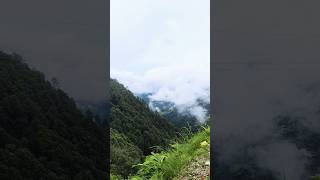 Chaya hai jo dil pe kya nasa h ❤️🫶🏞️🏞️song🤩 song music love bollywood mussoorie [upl. by Raskind]