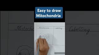 MITOCHONDRIA DIAGRAMMitochondria shortsbiology motivationart easydrawing education [upl. by Erasme581]