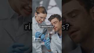 What Are Ribosomes Cells Protein Factories Explained biology facts cellbiology education [upl. by Madelina]