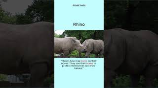 Amazing Animals and Learn Fun New Words Are you ready 6 shorts anilmals dailyenglish [upl. by Namzaj]