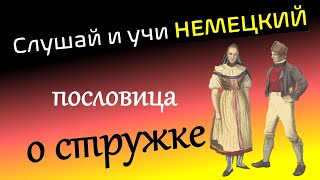 Слушай и учи немецкий  Немецкая пословица о стружке  hör zu und lerne Deutsch [upl. by Aissatsana]