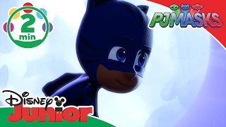 PJ Masks  The Bravest Cat  Disney Junior UK [upl. by Yttam]