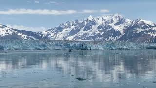 20240627 Hubbard Glacier Alaska 31 [upl. by Ramgad]