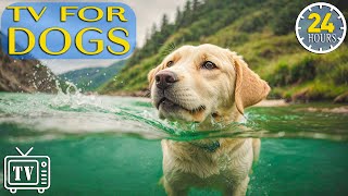 24 Hours of Soothe Dogs Anxiety DOG TV  Anti Anxiety amp Boredom Busting Videos with Music for Dogs [upl. by Zeb]