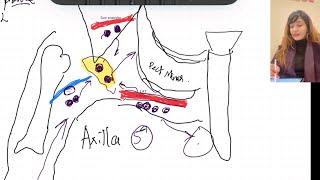 Lymphatics of UPPER amp LOWER Limb  MADE EASY [upl. by Illene]