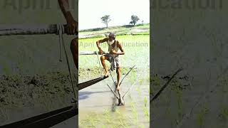 How were crops watered in ancient times facts shorts [upl. by Retsim413]