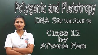 Polygenic Inheritance and Pleiotropy DNA structure Class 12 CBSE [upl. by Lebyram]