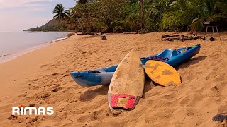 Bad Bunny  Neverita 360° Visualizer  Un Verano Sin Ti [upl. by Nerty]