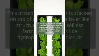 Vertical Farming with Aeroponic Towers Growing Over 160 Crops [upl. by Patti]