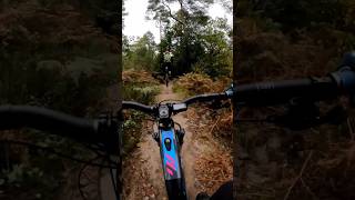 Sketchy run on Captain Clunk with a near crash peaslake surreyhills nukeproof mtb Dhmtb [upl. by Annat684]