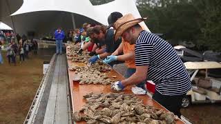 Lowcountry Oyster Festival [upl. by Nuahsak]