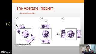 Sensation and Perception Motion Detection [upl. by Dougy]