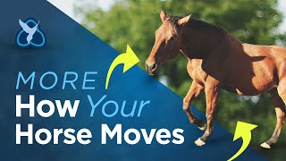 Watch how horses move  with some slow motion [upl. by Odo]