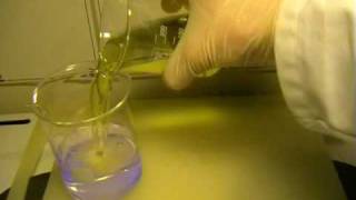 Elementary Productions Chemiluminescence of Luminol [upl. by Inglebert]