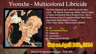 ZDR 025 Yvonxhe  Multicolored Libricide [upl. by Aenehs]