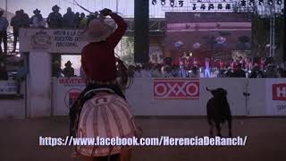 PIALES EN EL LIENZO dia 17 charro completo  Congreso Aguascalientes 2021 [upl. by Ahserb518]