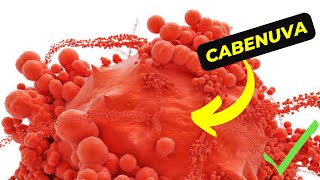 Cabenuva The Future of HIV Treatment is Here [upl. by Dowski]