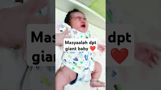 Giant baby makrosomia adalah bayi yg lahir dg BB lebih dari 45 kg baby lahirnya lahiran [upl. by Nela]