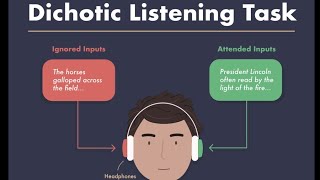 Dichotic Listening linguistics shortvideo learning [upl. by Lielos]