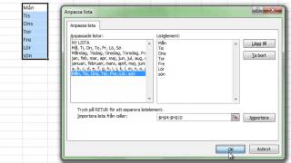Skapa anpassade listor i Excel [upl. by Eustatius352]