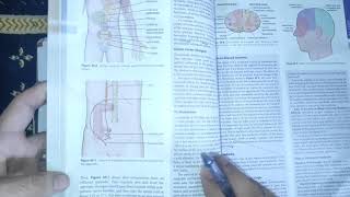 physiology guyton 49 visceral parietal and Referred painclinicals of painneurophysiologymbbs [upl. by Dev]