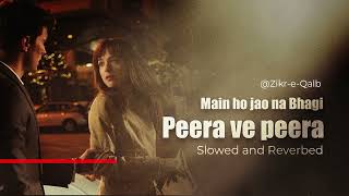 Peera ve Peera  Baaghi Ost  Shuja Haider  Saba Qamar  Slowed and Reverb [upl. by Nylrem431]