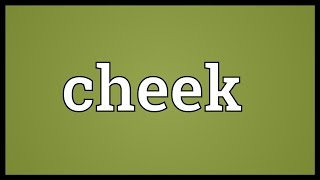 Cheek Meaning [upl. by Airdni]