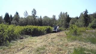 Bobcat T870 Brush Cutting 2 [upl. by Nylhsa]