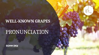 WINE GRAPE VARIETIES  How to pronounce wine grapes Wine Pronunciation [upl. by Nawyt]