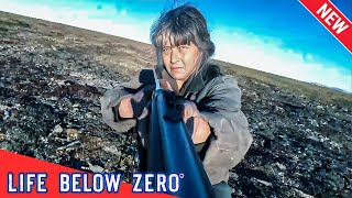 🅷🅾🆃 Life Below Zero 2024 🔥 Higher Ground 🔥 🅱🅴🆂🆃 Hunting Documentaries [upl. by Behah462]