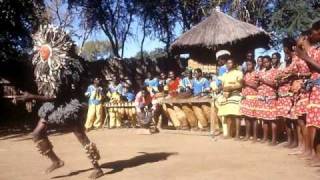 Danza tribal africana Malinke Singers ethnic african dance [upl. by Saref212]