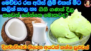 පොල්කිරි මේ තරම් රසයිද කඩේ අයිස්ක්‍රීම් මොකටද මෙහෙම සුපිරියට හදාගන්න Vegan Ice Cream Coconut milk [upl. by Tertia]