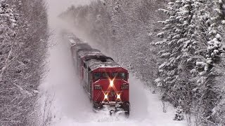 BLIZZARD CN Train 406 West wNice Lashup at Petitcodiac NB Dec 15 2016 [upl. by Ahtebat]