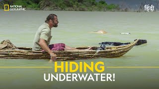 Hiding Underwater  Primal Survivor  हिन्दी  Full Episode  S7  E3  National Geographic [upl. by Hauge]