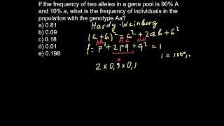 How to apply HardyWeinberg formula in order to solve genetics problems [upl. by Ameerahs967]