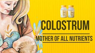 COLOSTRUM  Mother of All Nutrients  Mother first Milk Benefits [upl. by Merlin]