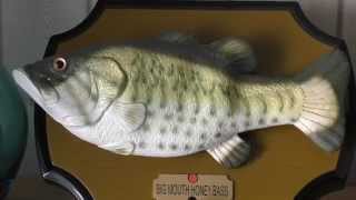 Singender Fisch singing fish Bass  dont worry be happy HD [upl. by Uy]