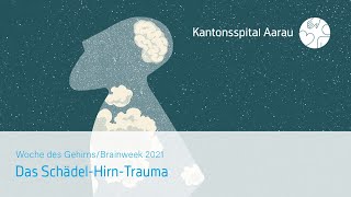 Das SchädelHirnTrauma Eine bildmorphologische Schadensbilanz [upl. by Lorn]