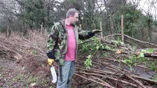 How to Traditional Hedge Laying in the South of England Style [upl. by Season]