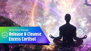 Deep Cortisol Detox  Release And Cleanse Excess Cortisol From Body  741 Hz Music Therapy [upl. by Gerson]