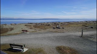 Sony A7iii  Zeiss FE 2470mm F4 OSS Lens  Crane Plus 4K Video Test Shot in Centennial Beach [upl. by Ernst]