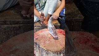 Ayer Fish cutting skills fishcuttingskills fishcutting fishcuttingskills fishing shorts [upl. by Eelta]