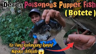 Poisonous Pupper Fish  Clean And Cook Babala wag pong subukan kung Hindi kapo expert😱 [upl. by Elem]