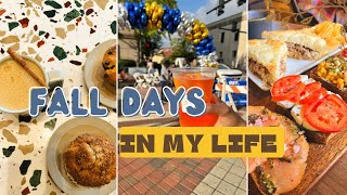 Fall Days In My Life Fall Vlog NC Vlog Fall Diaries What To Do For Fall Durham NCFall Festival [upl. by Ingvar768]