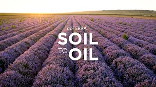 doTERRA Soil to Oil [upl. by Adnarram]