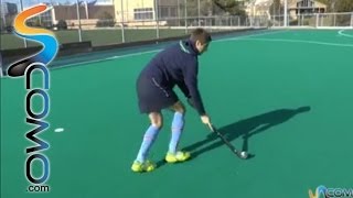 El push en el Hockey [upl. by Fokos390]