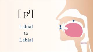 pʲ  unvoiced unaspirated palatalized bilabial stop [upl. by Feliks]